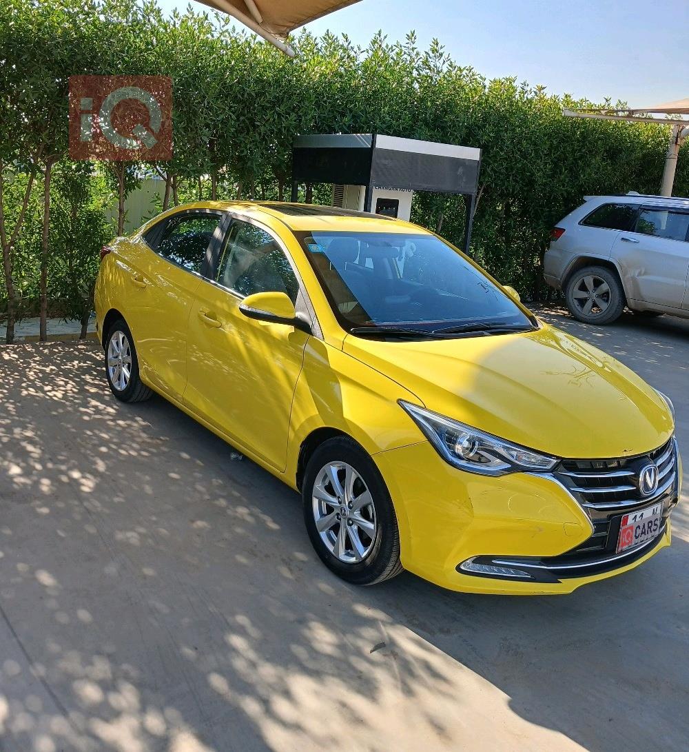 شانجان السفن